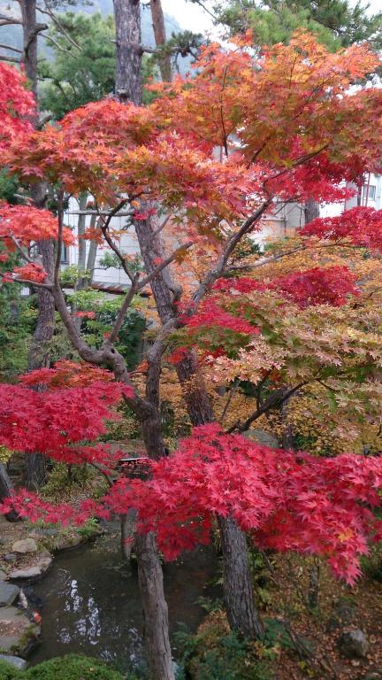 Hotel Yudanaka Yumoto Jamanouči Exteriér fotografie